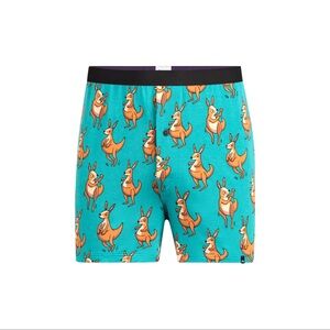 BNWT Ultra Modal Core Boxer